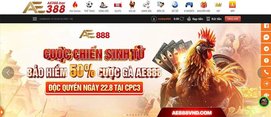 Một Số Các Đặc Điểm Nổi Bật Của Trận Đấu Đá Gà AE388