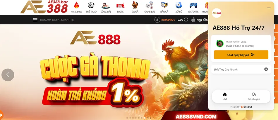 Cách Giải Quyết Các Vấn Đề Thường Gặp Trong Đá Gà AE388