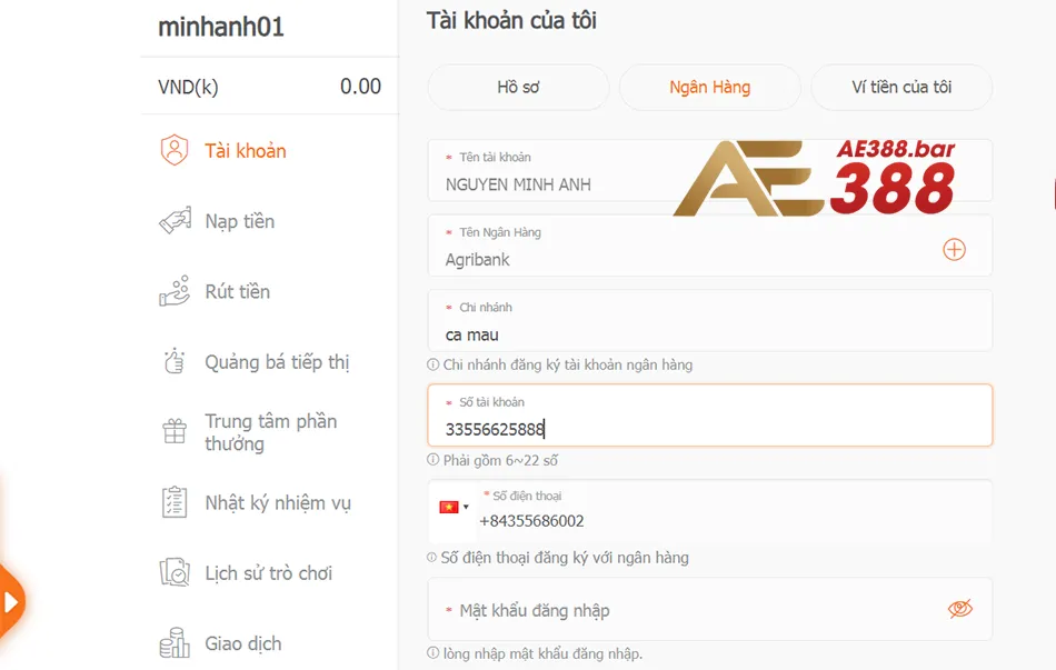 Các cách khắc phục các lỗi thường gặp khi rút tiền AE388