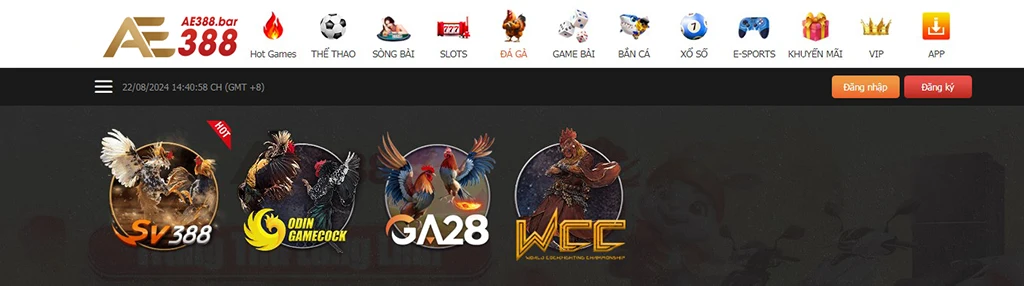 đá gà ae388bar